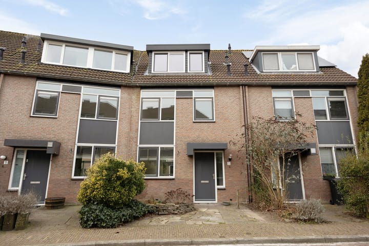 Waterhoen 3 main image