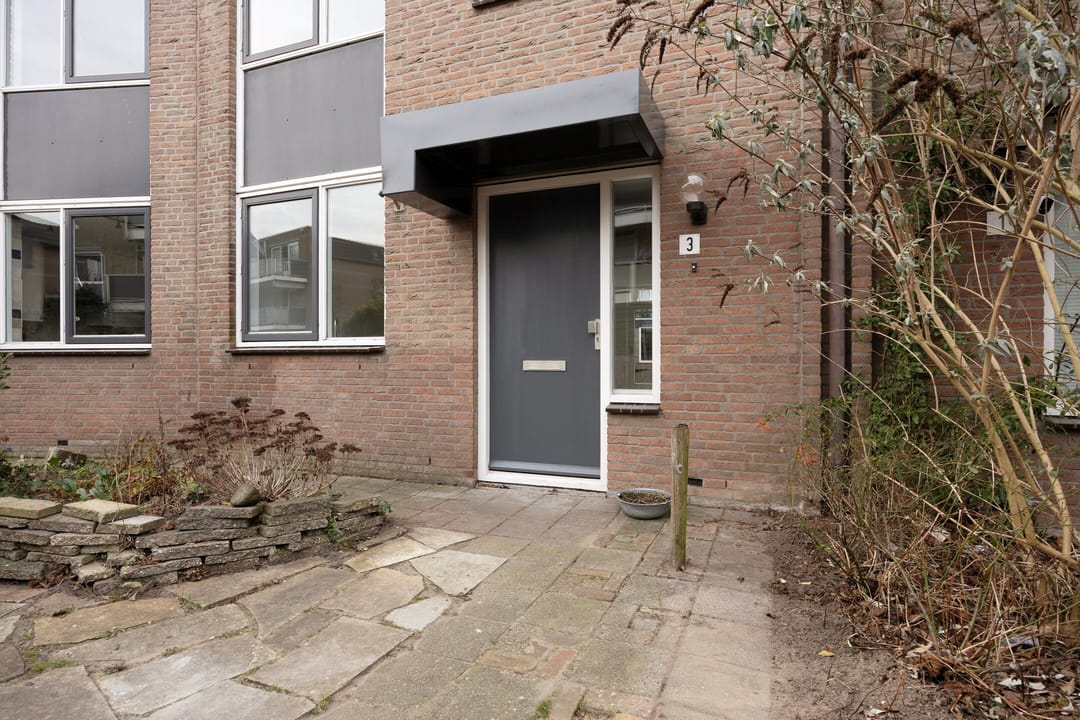 Foto 2 van Waterhoen 3