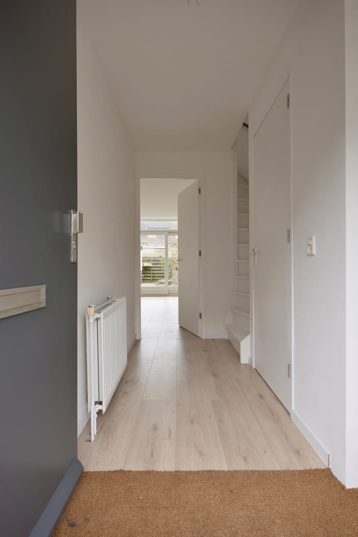 Foto 3 van Waterhoen 3