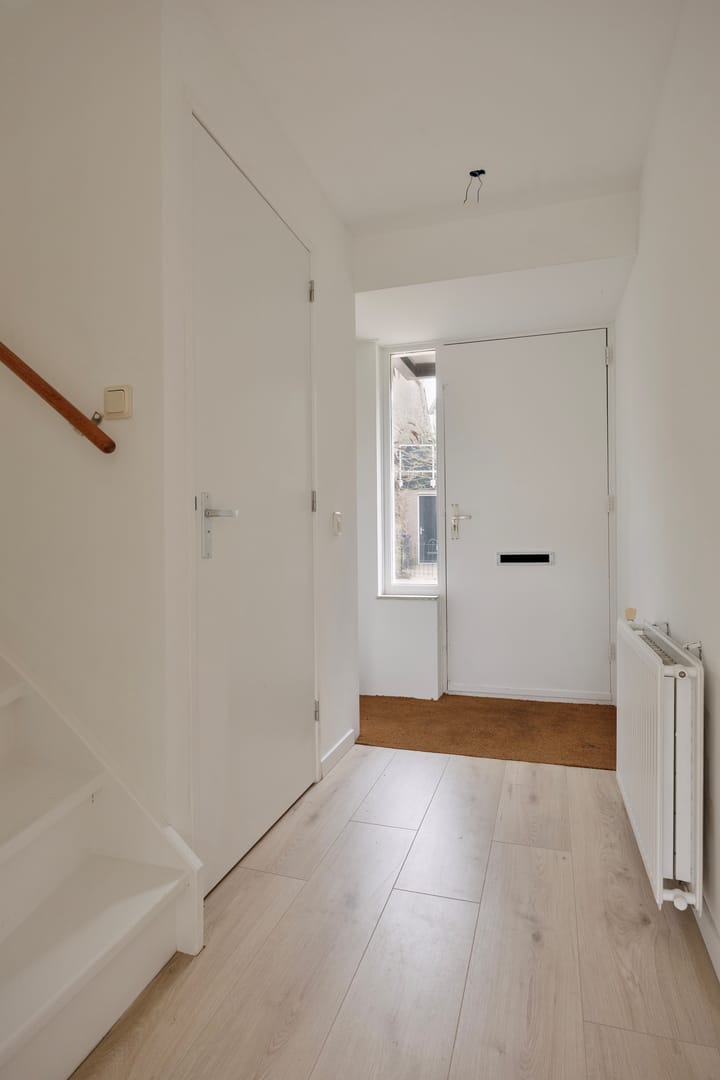 Foto 4 van Waterhoen 3