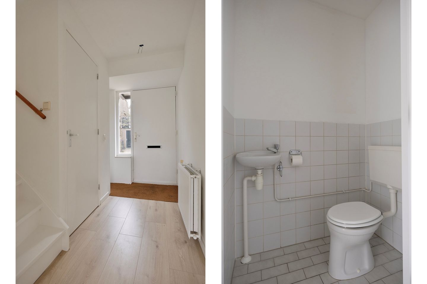 Foto 5 van Waterhoen 3