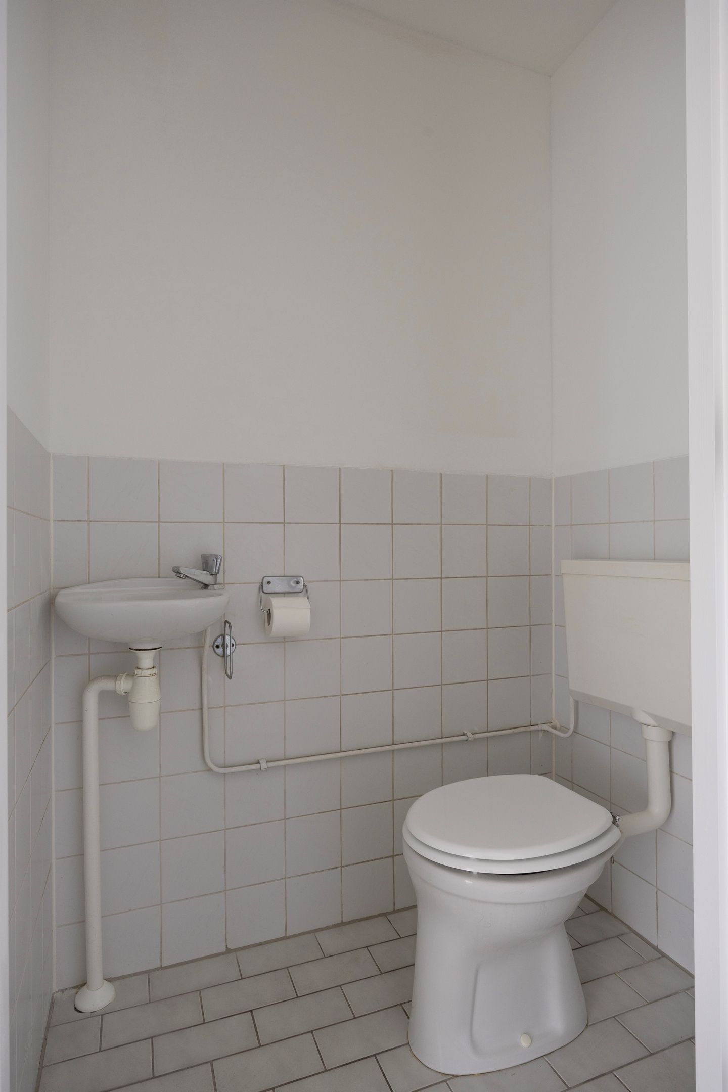 Foto 6 van Waterhoen 3