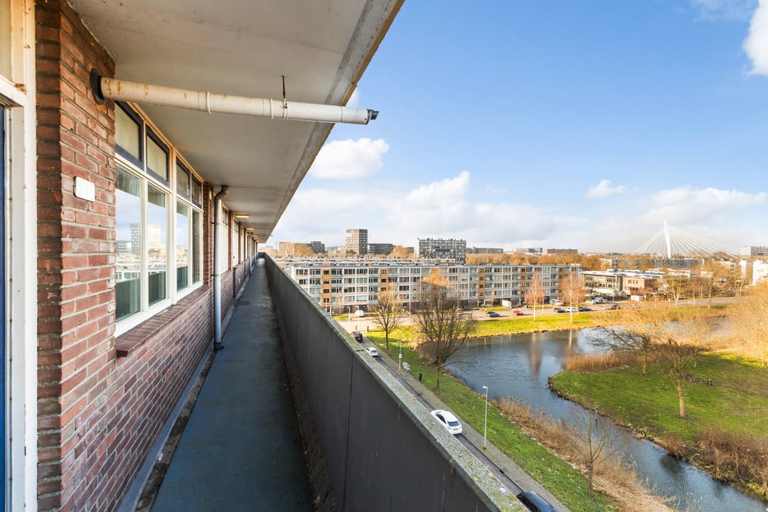 Foto 7 van Marco Pololaan 345