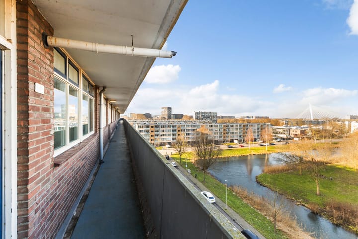 Foto 7 van Marco Pololaan 345