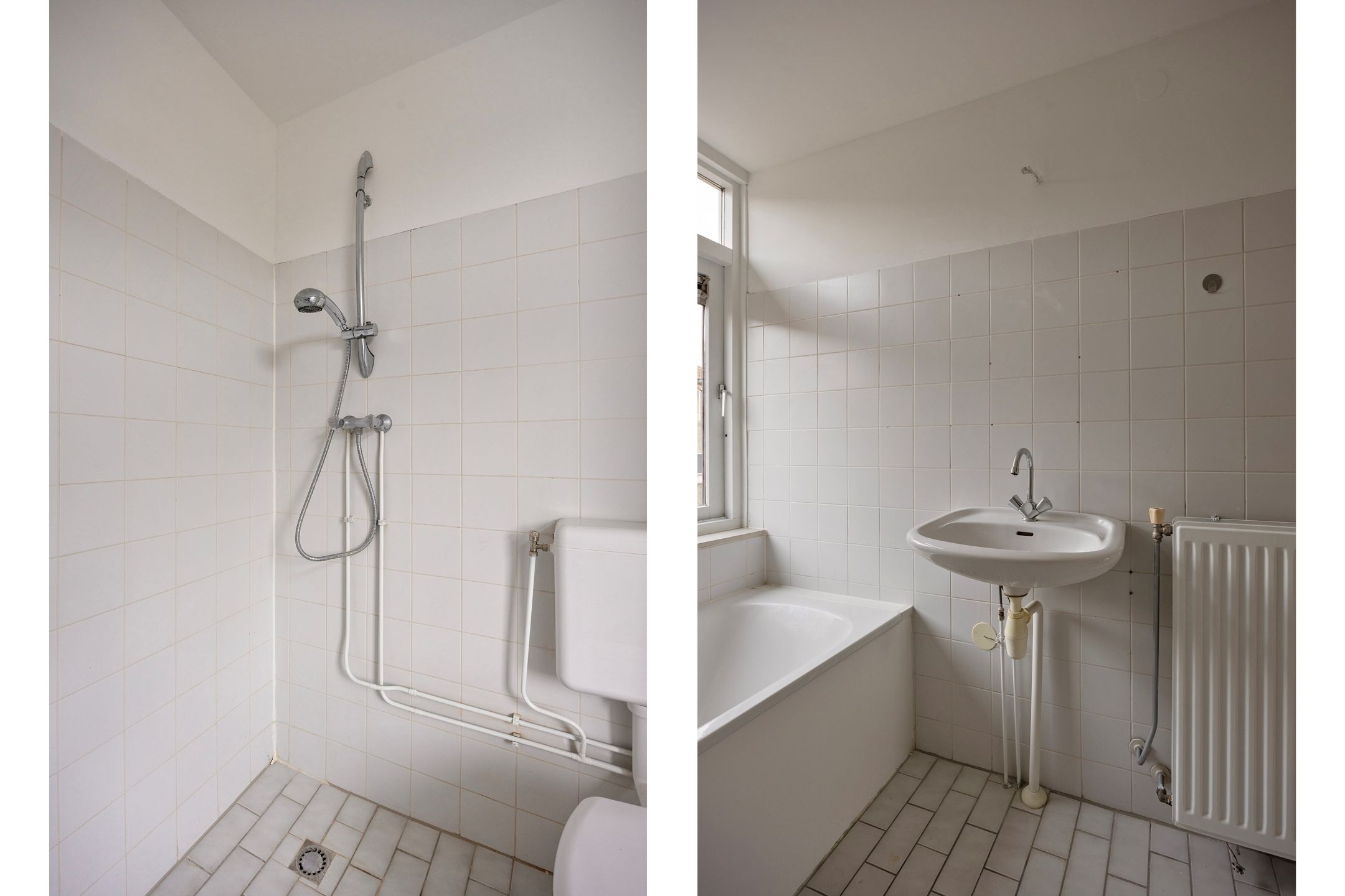 Foto 24 van Waterhoen 3