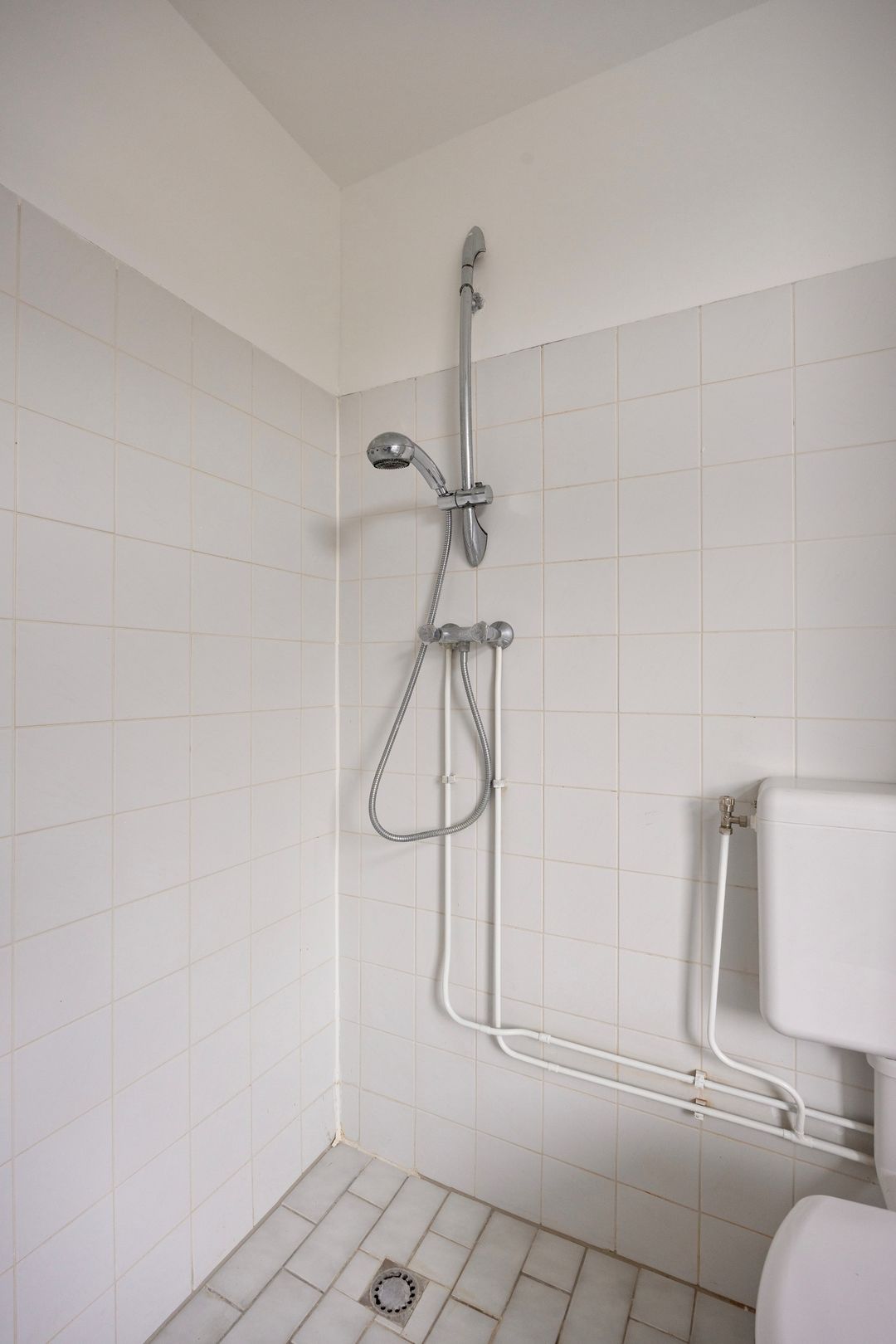 Foto 26 van Waterhoen 3