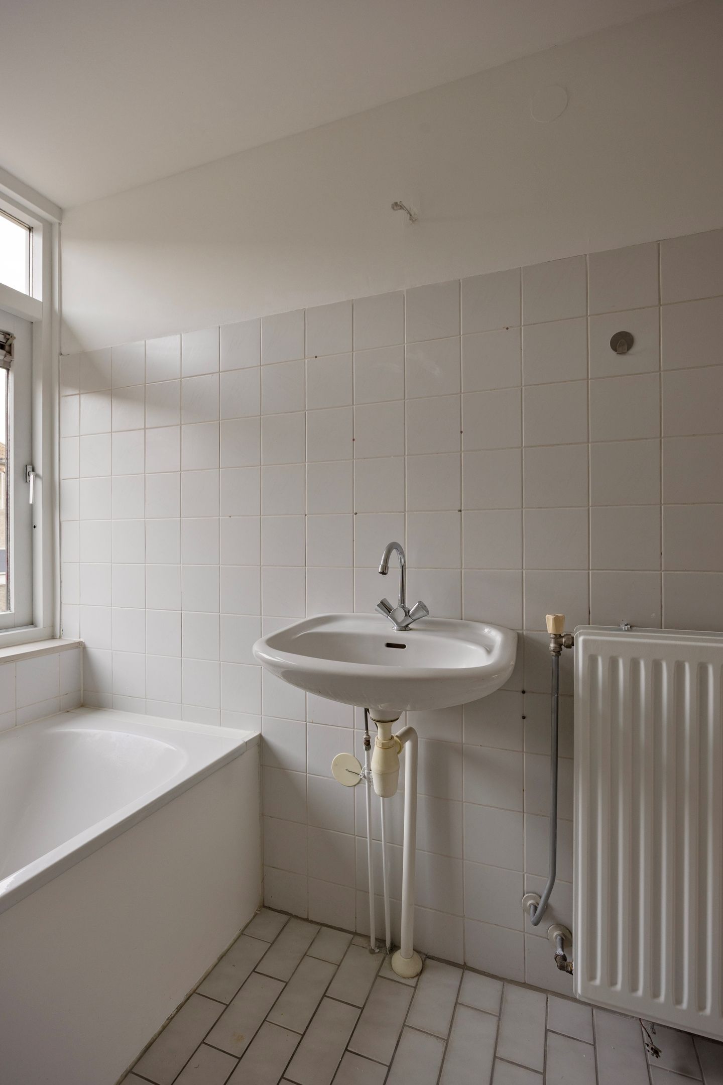 Foto 27 van Waterhoen 3