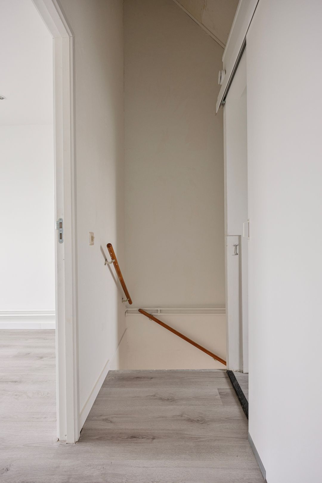 Foto 31 van Waterhoen 3