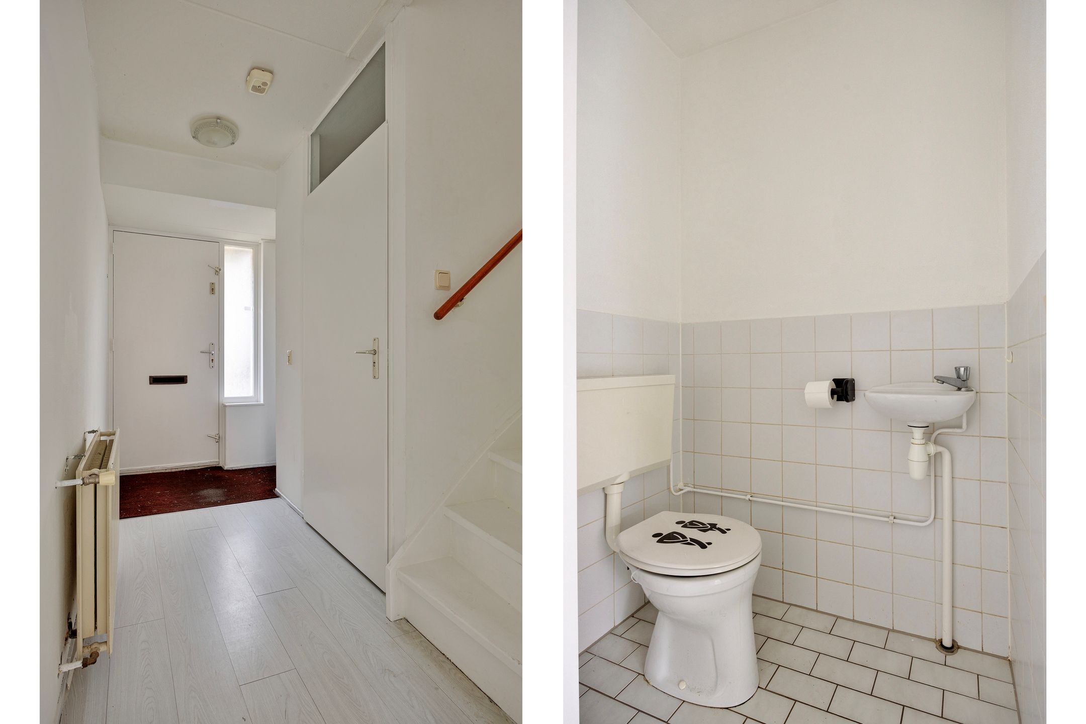 Foto 6 van Waterhoen 5