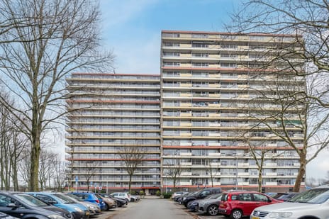 Oost-Dorsch thumbnail