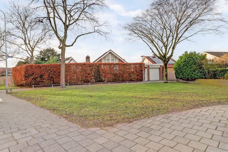 Piccolo 8 secondary image