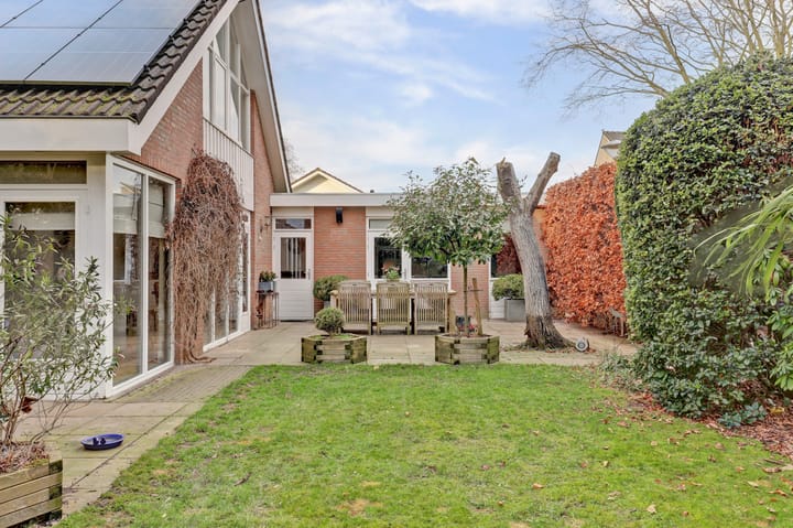 Foto 32 van Piccolo 8