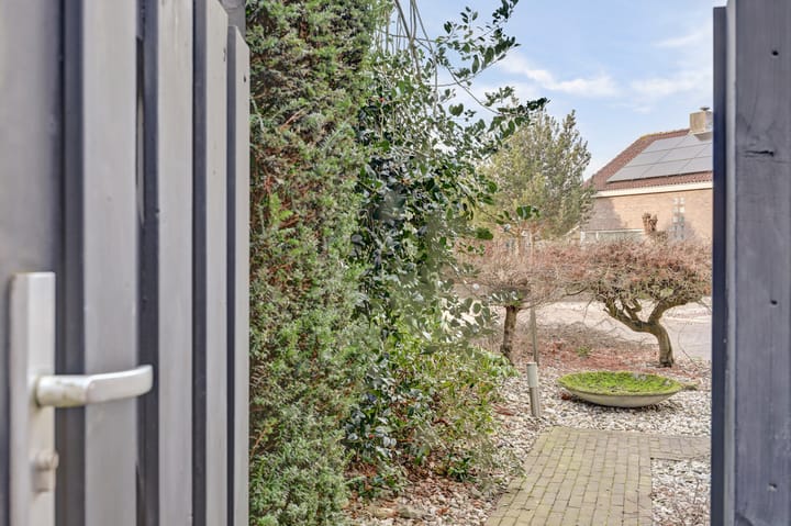 Foto 33 van Piccolo 8