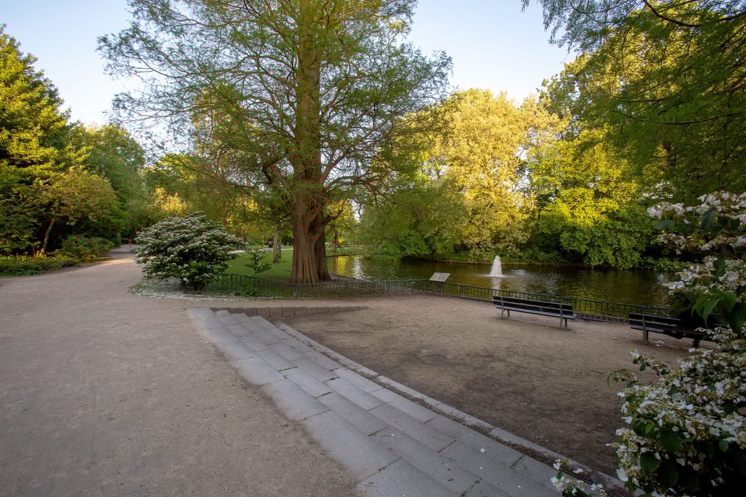 Foto 28 van Bestevâerstraat 181-1