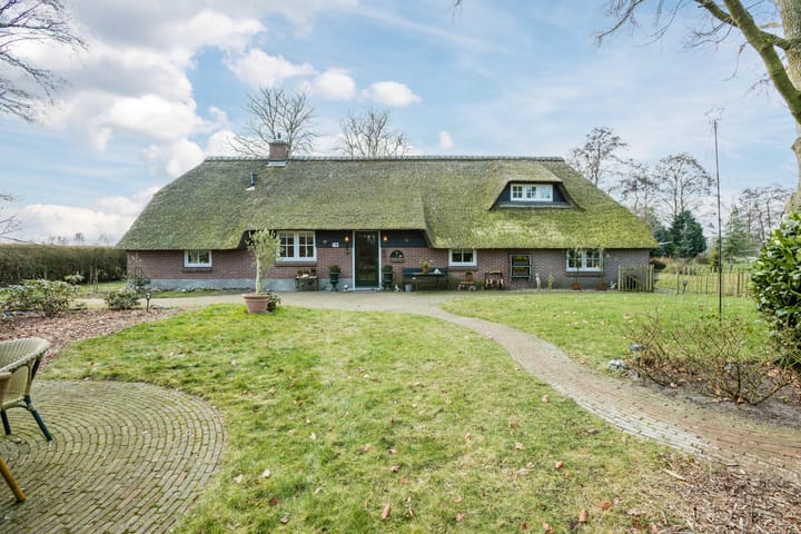 Foto 4 van Puntweg 5