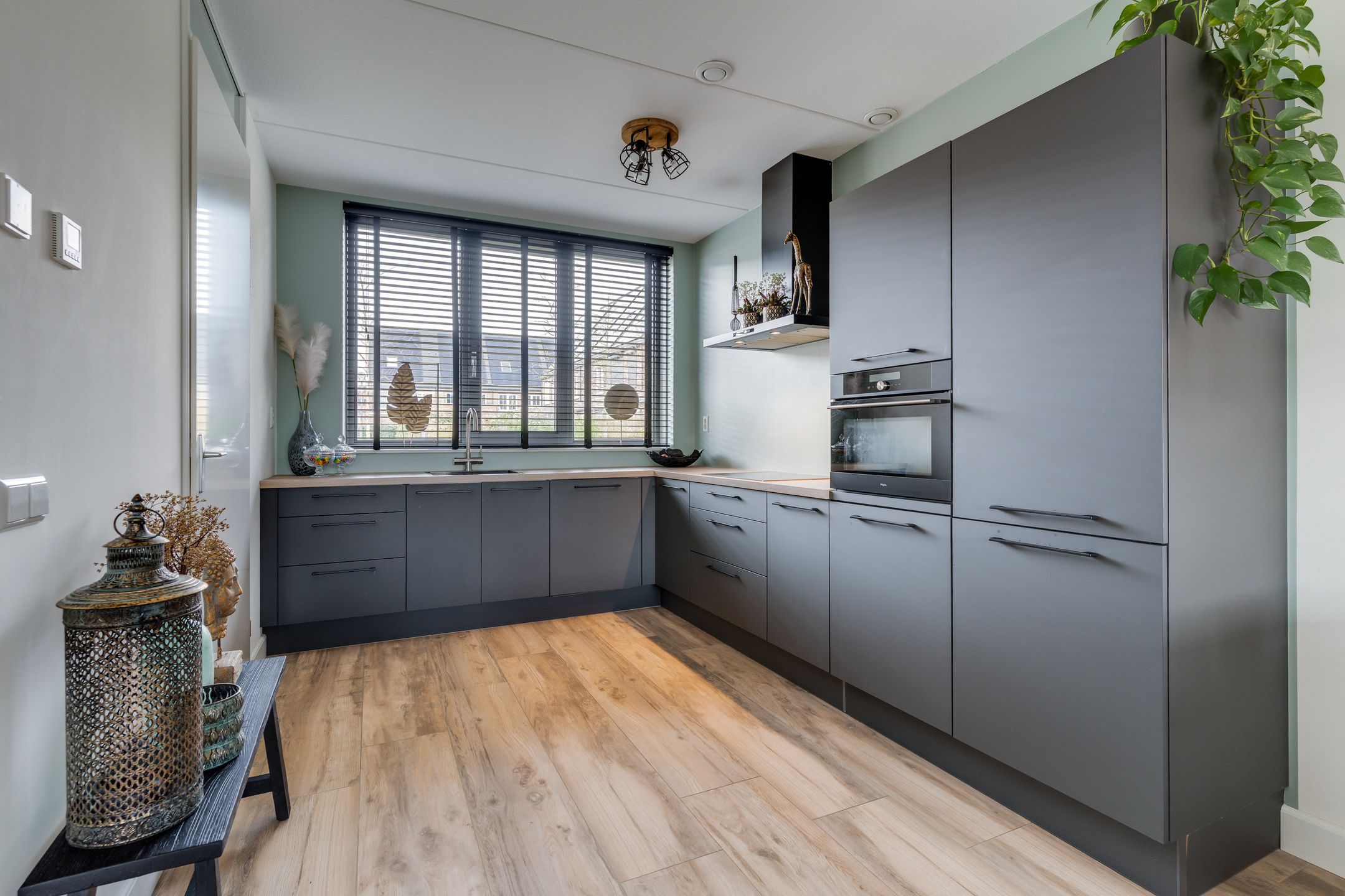 Foto 15 van Meerval 25