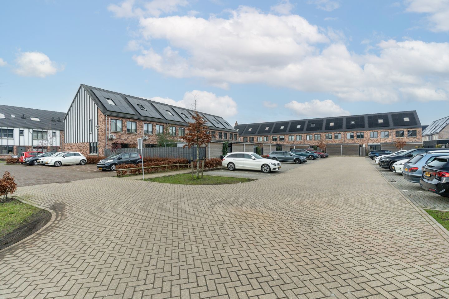 Foto 44 van Meerval 25