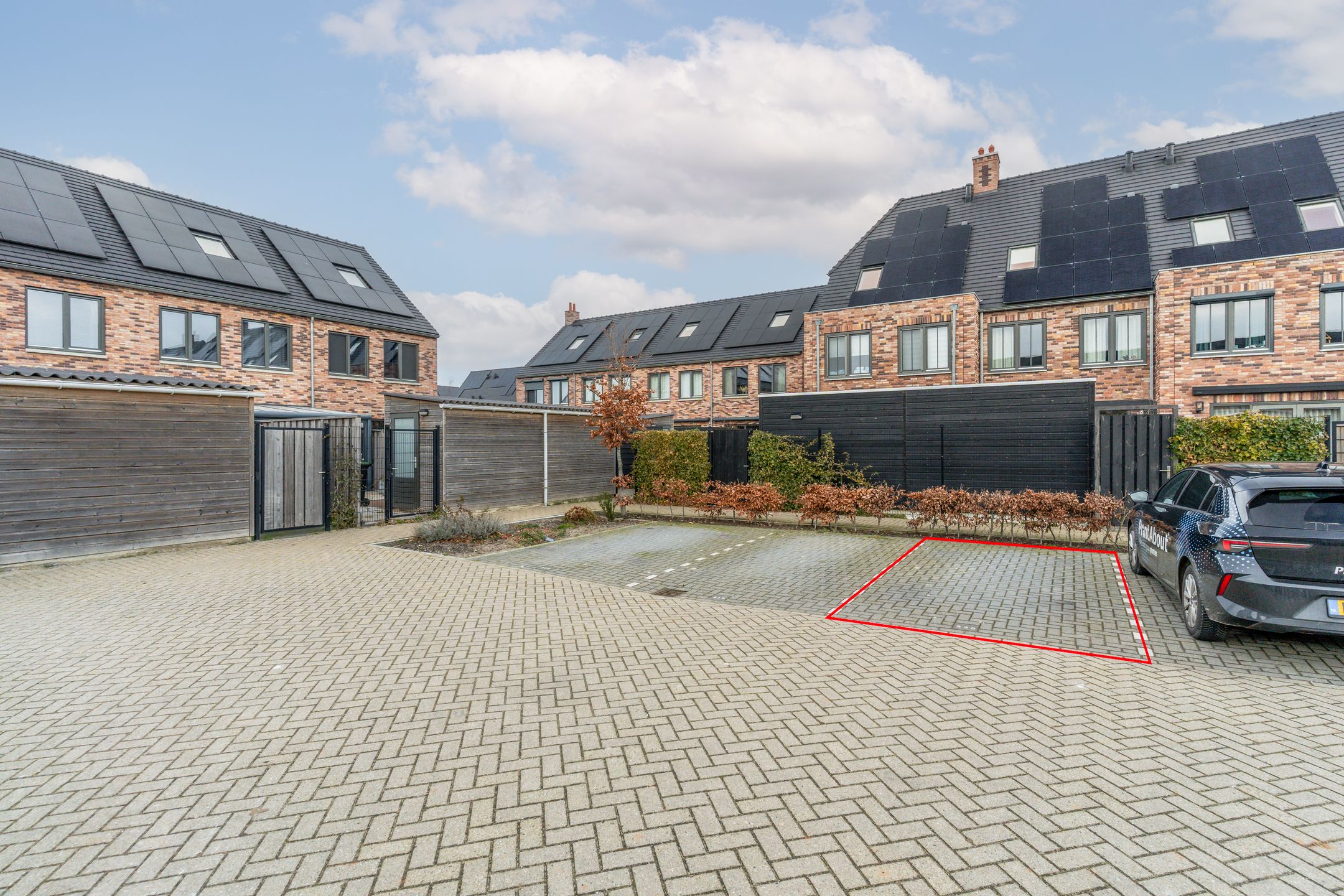 Foto 45 van Meerval 25