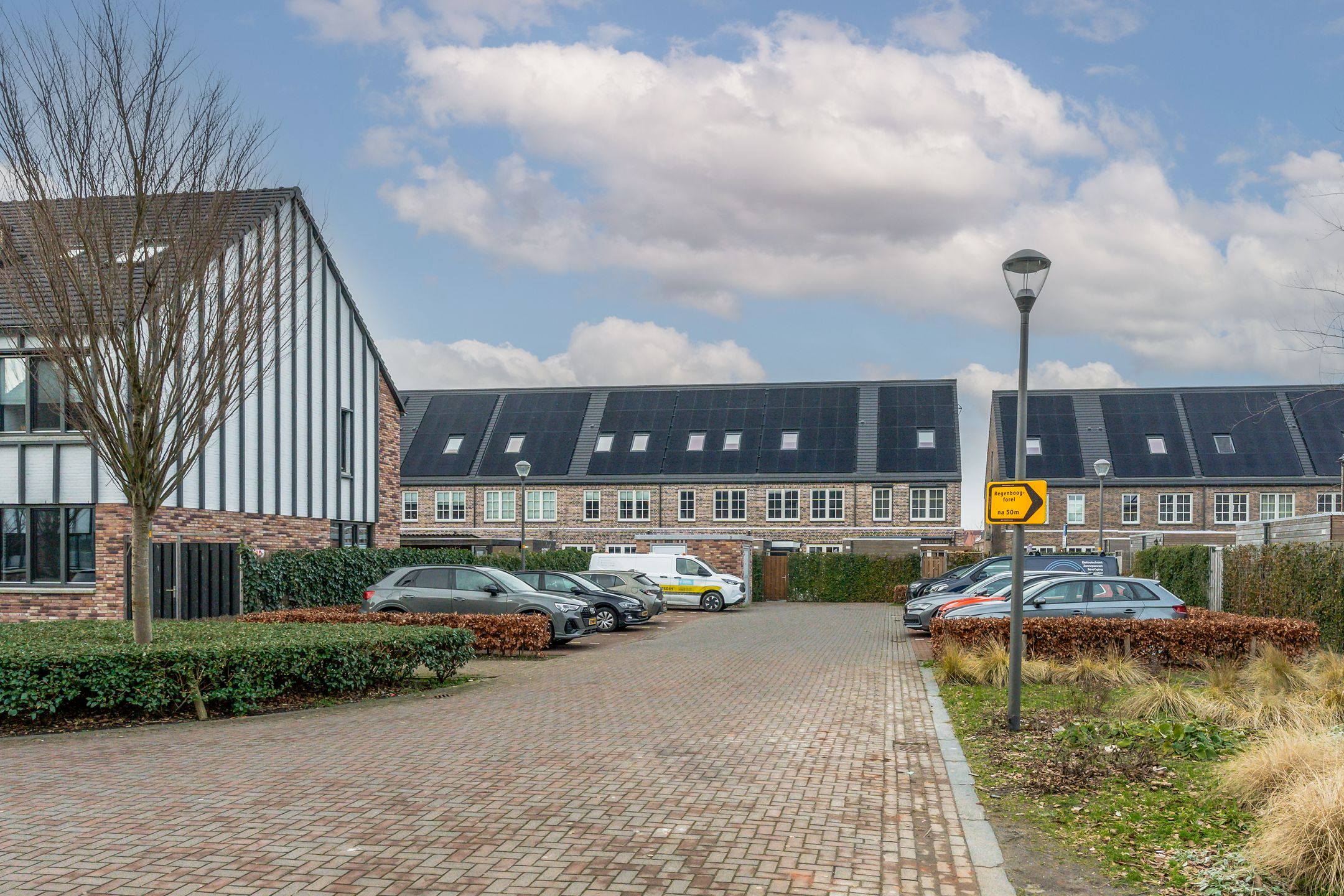 Foto 48 van Meerval 25