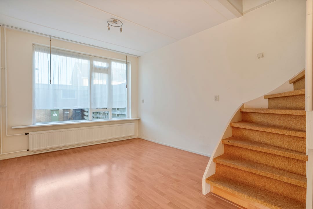 Photo 11 of Frankate 12