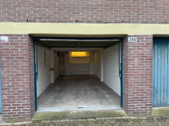 Foto 2 van Maassingel 266