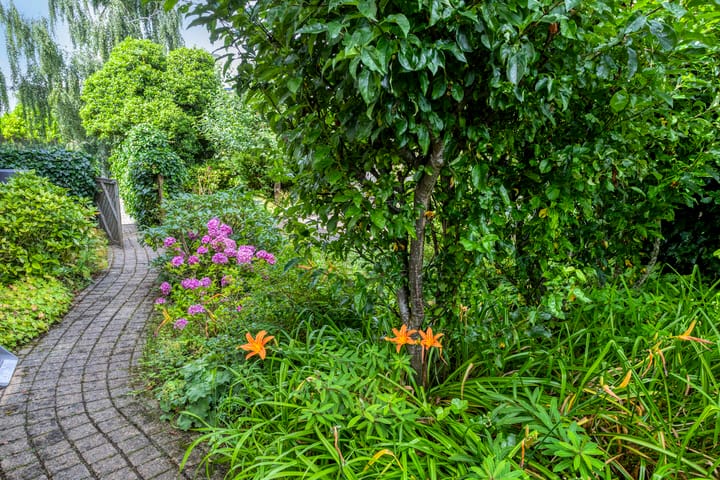 Photo 32 of Zilvermeer 12