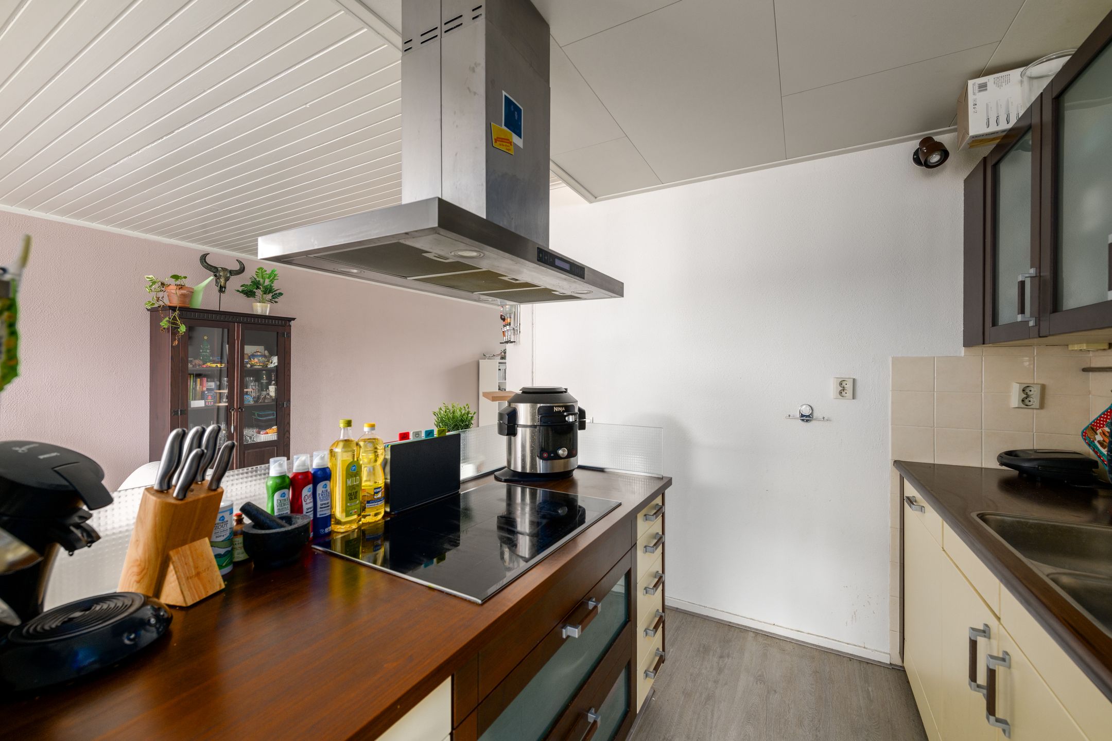 Foto 9 van Lanenburg 120