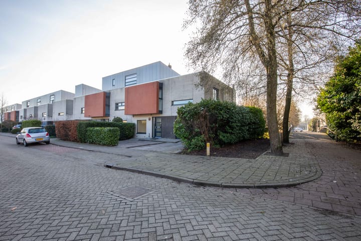 Foto 4 van Purperreiger 60