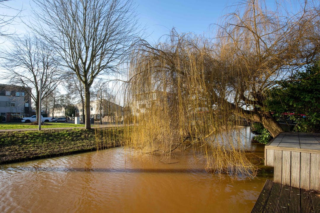 Foto 23 van Purperreiger 60