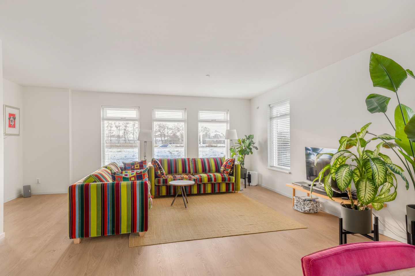 Bekijk foto 4 van Zeswielen 11