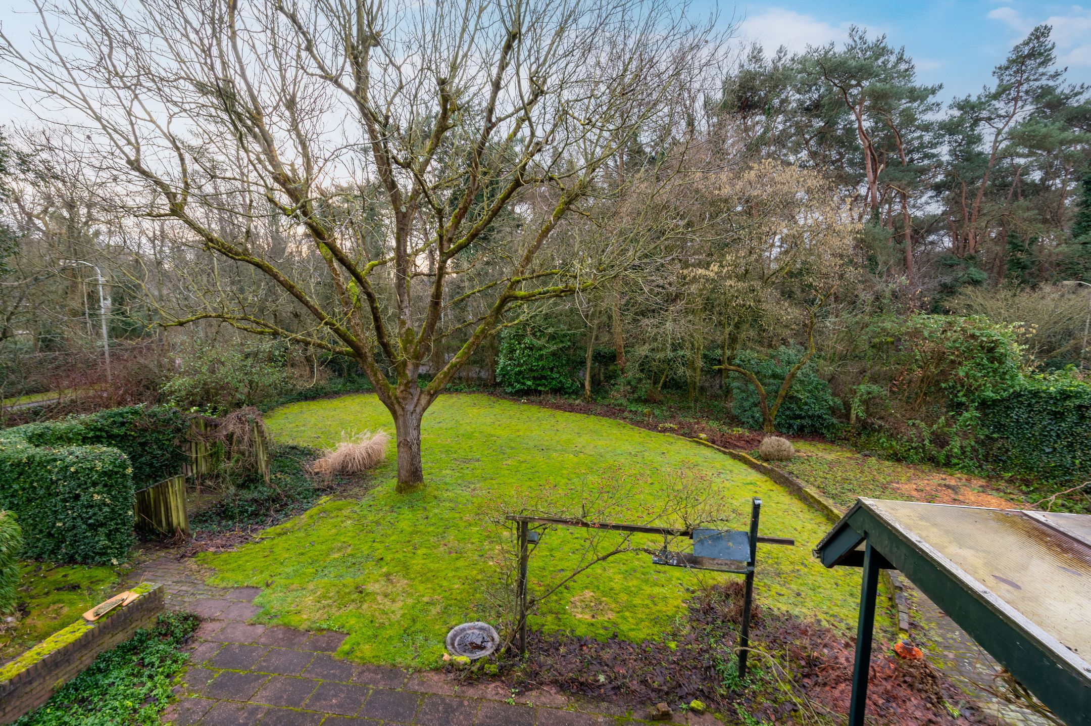 Photo 21 of Buurtboslaan 14