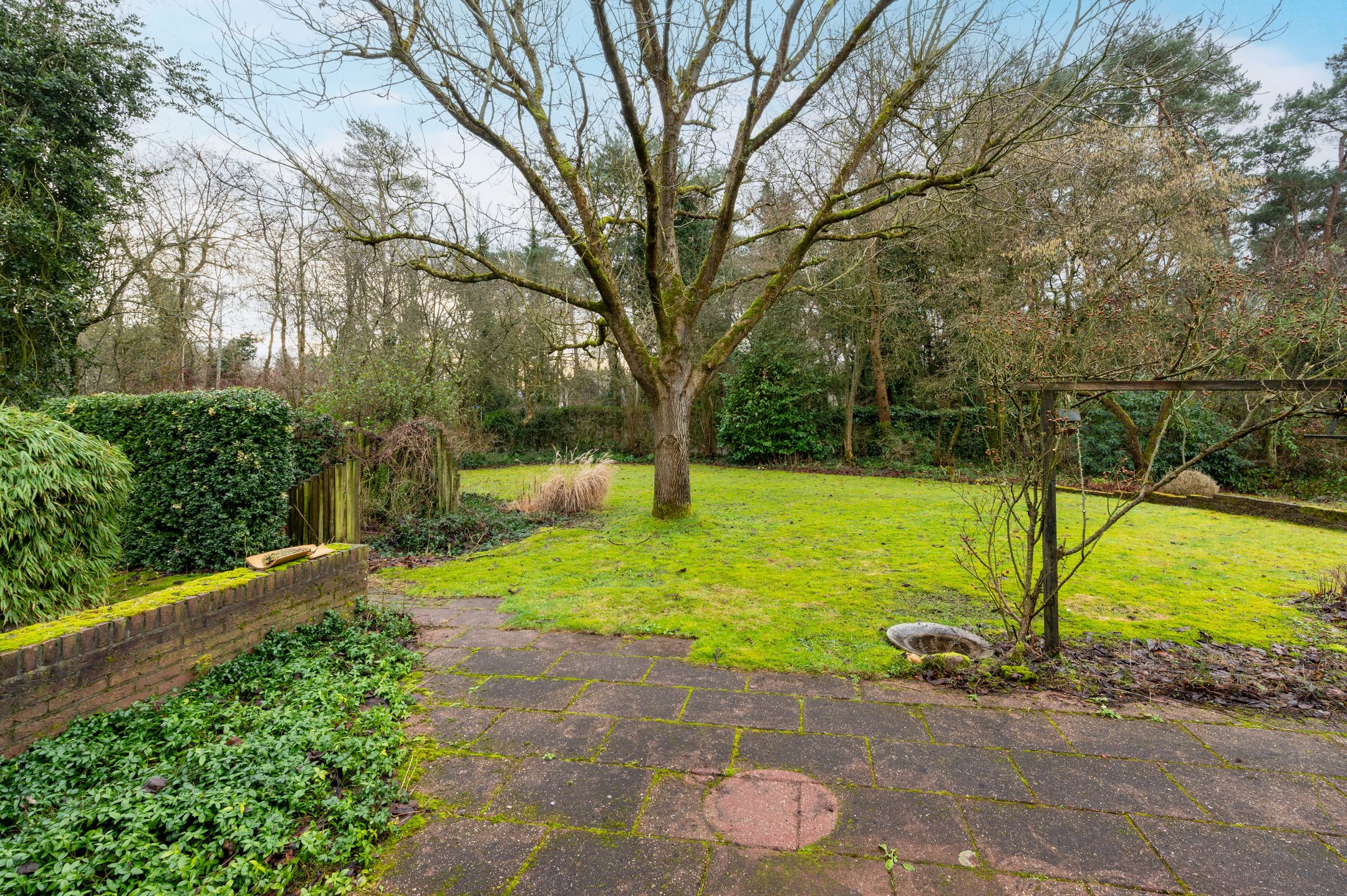 Photo 30 of Buurtboslaan 14