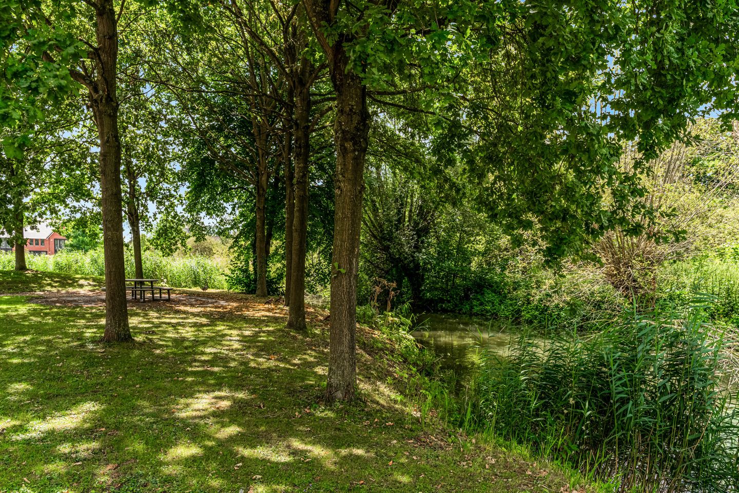 Foto 14 van Hof van Vronestein 113