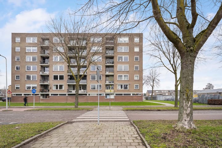 Photo 2 of Jacob van Ruysdaelstraat 48