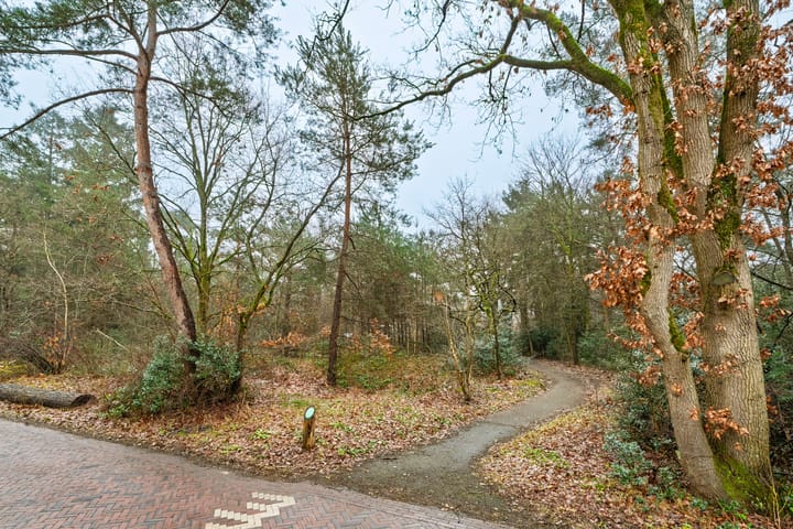 Photo 2 of Sophialaan 23-1