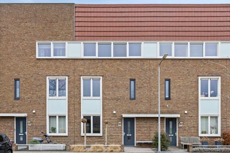 undefined main image