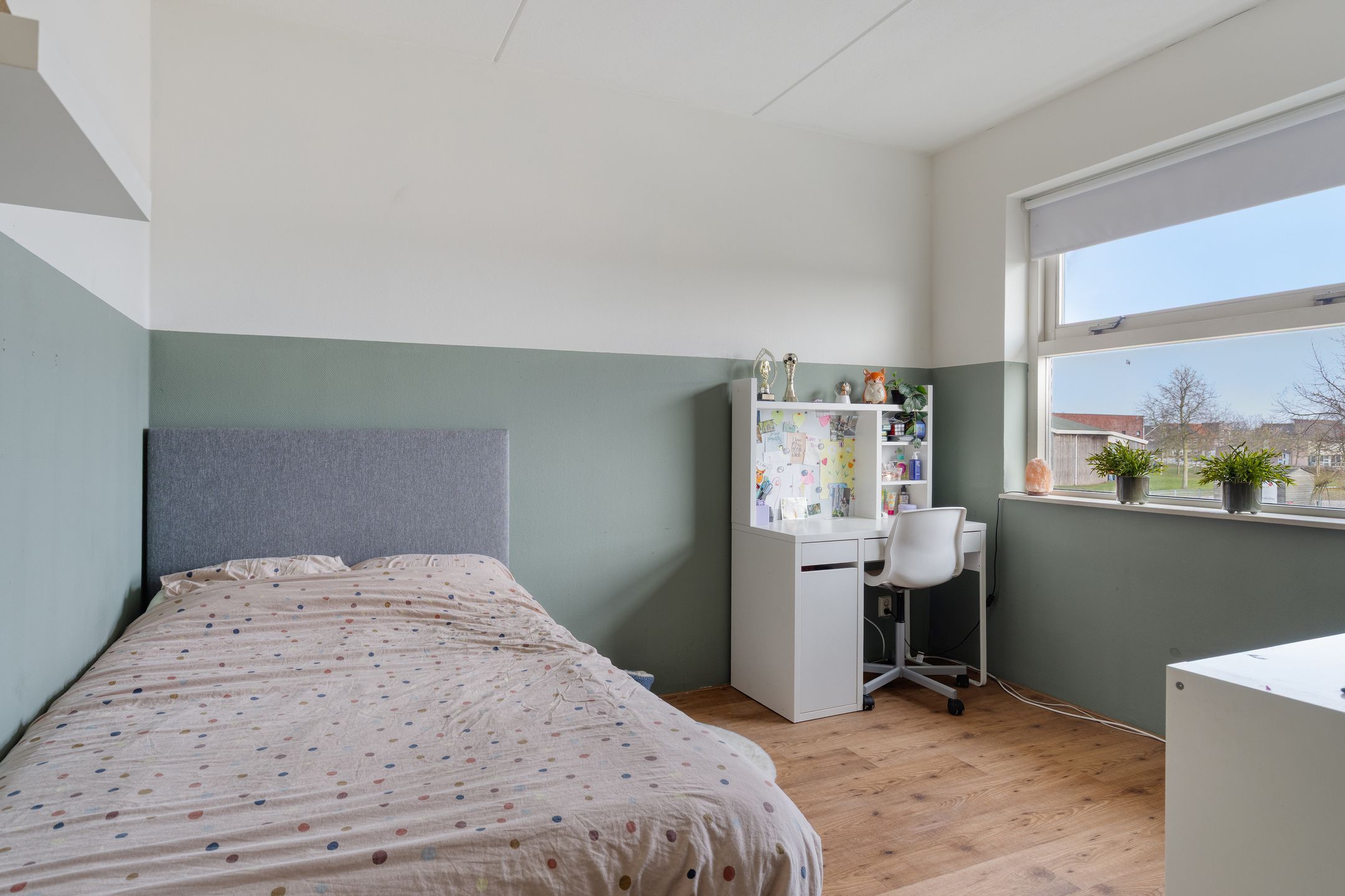 Foto 21 van De Boomgaard 50