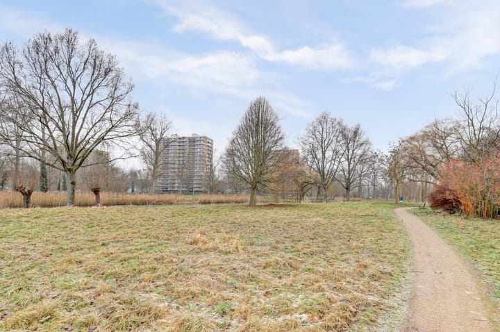 Foto 35 van Jhr. De Savornin Lohmanstraat 231