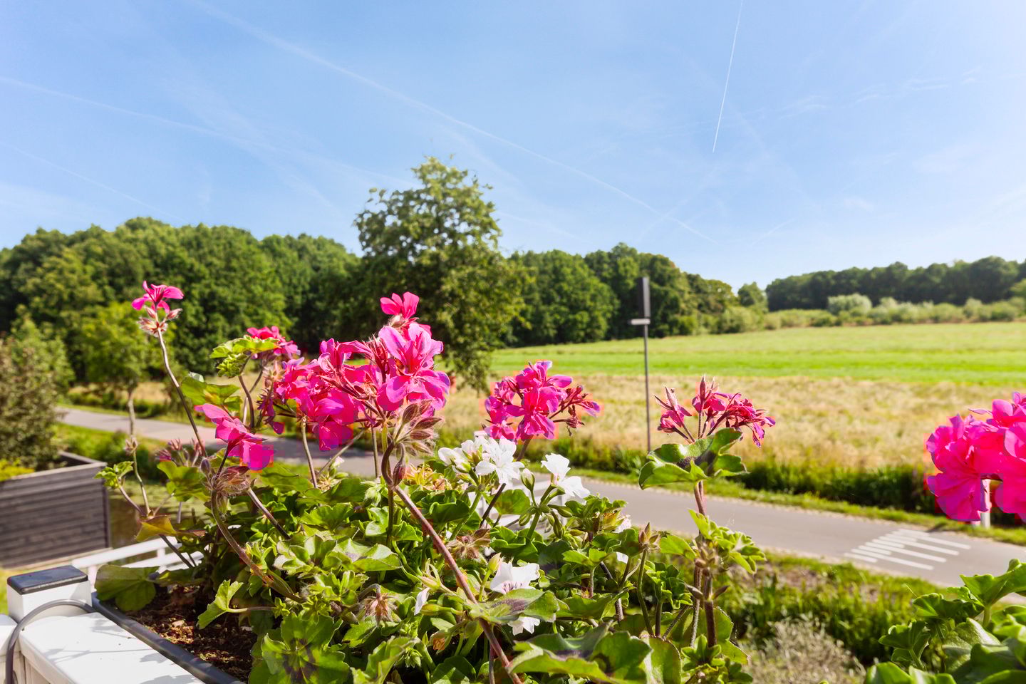 Foto 34 van Achtkanter 22