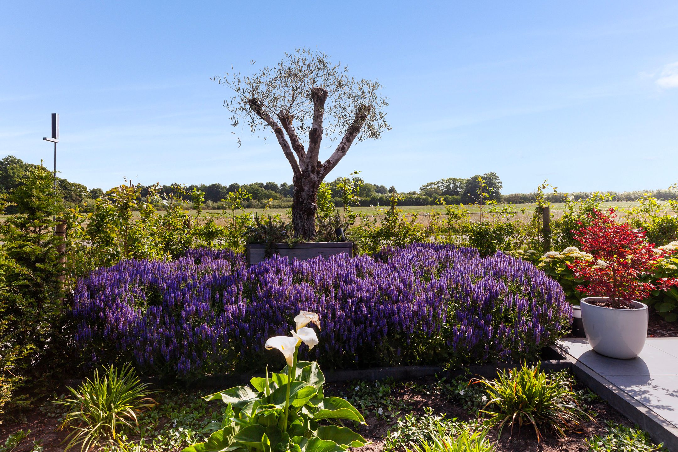 Foto 63 van Achtkanter 22