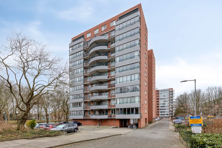 Cornelis van Rijplantsoen 8 main image