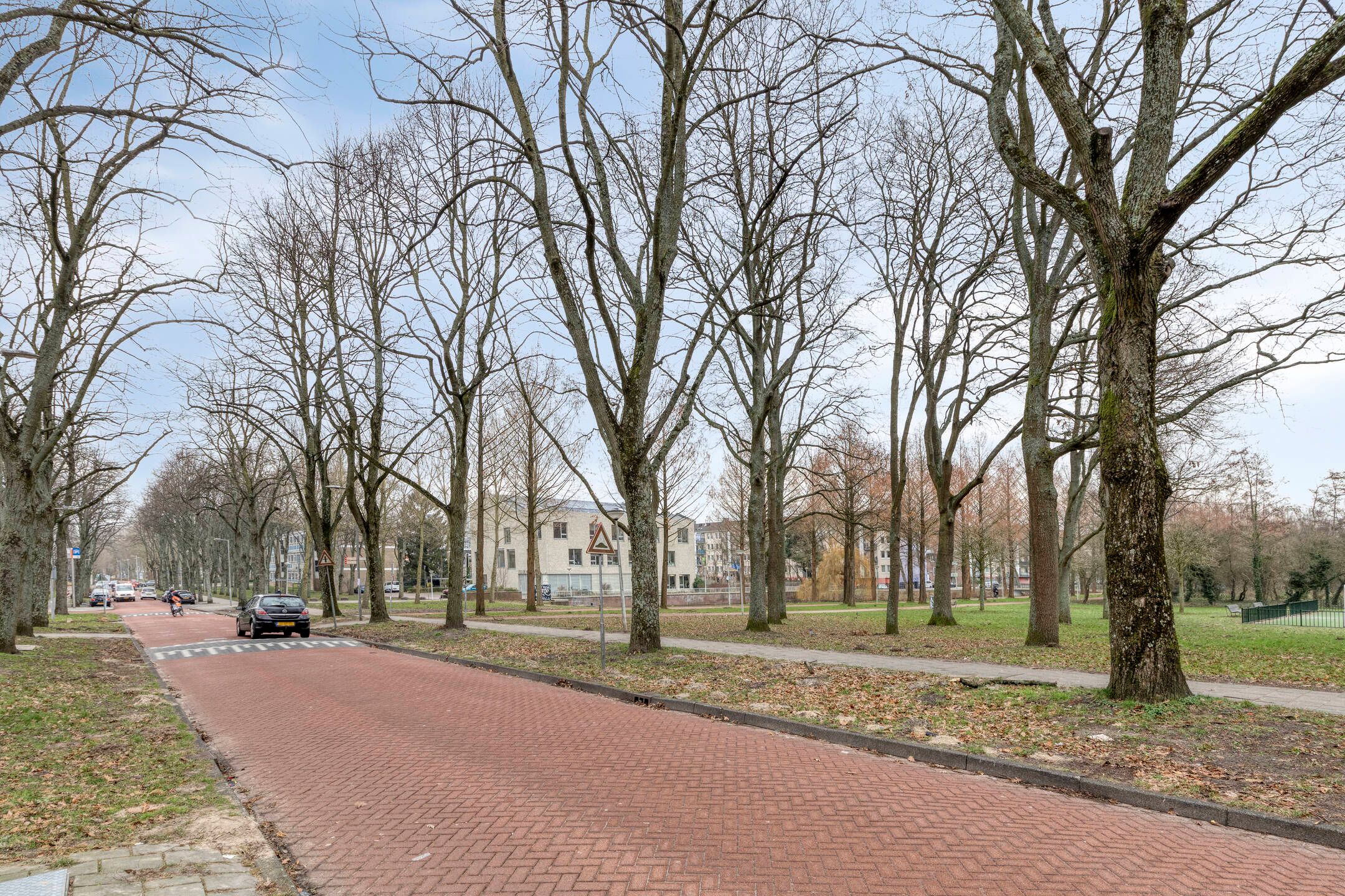 Foto 42 van Cornelis van Rijplantsoen 8