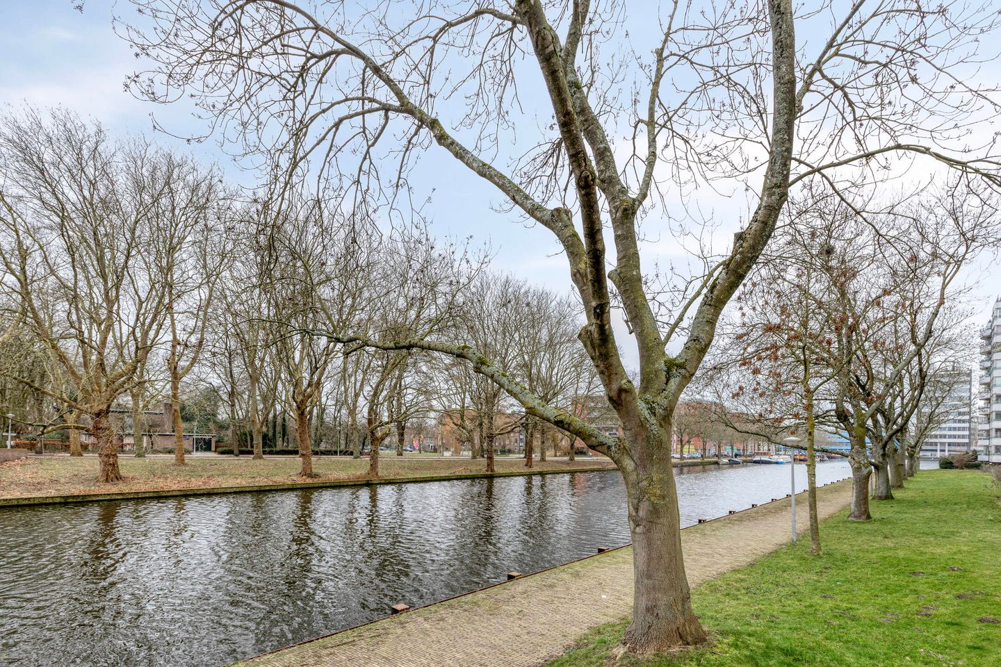 Foto 44 van Cornelis van Rijplantsoen 8