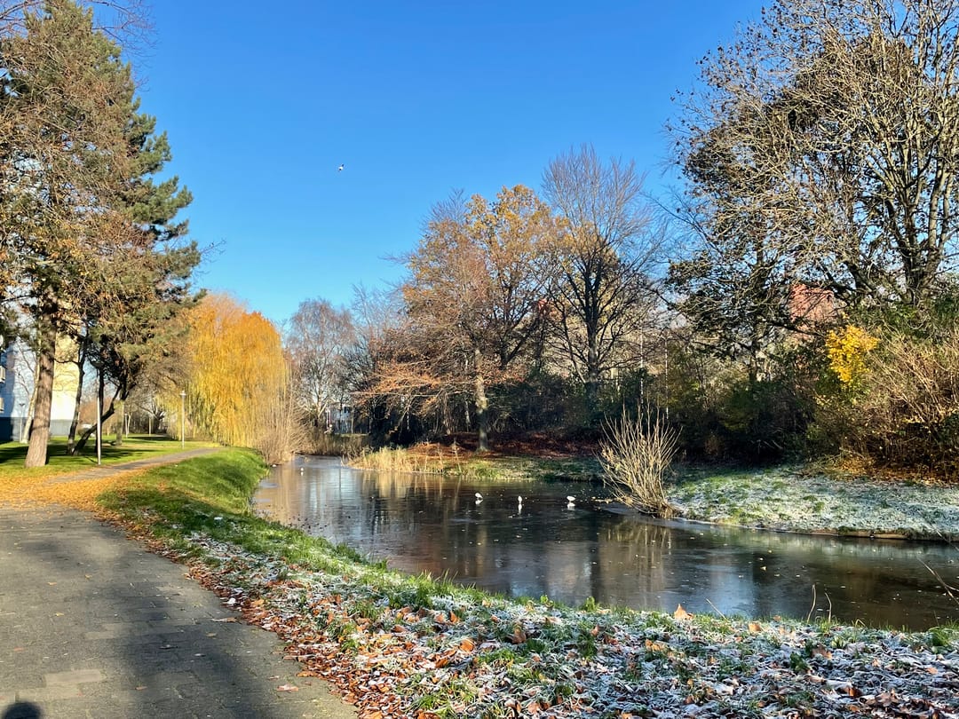 Foto 22 van Marsdiep 271