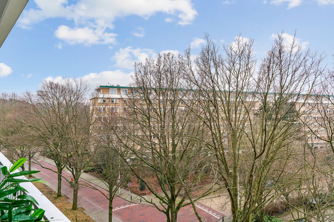 Foto 22 van Cees Laseurlaan 231