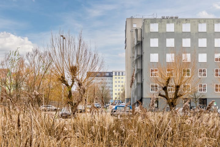 Photo 29 of Vurehout 49