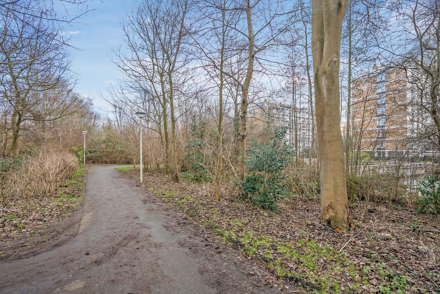 Foto 29 van Mozartlaan 380