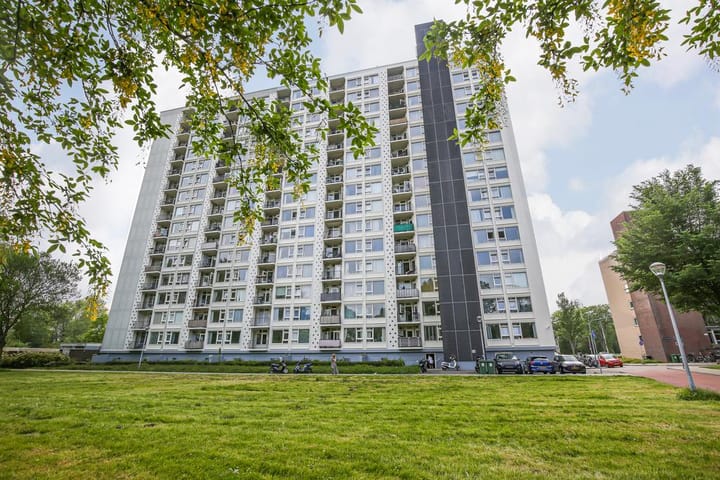 Van Leeuwenhoekstraat 5-0010 main image