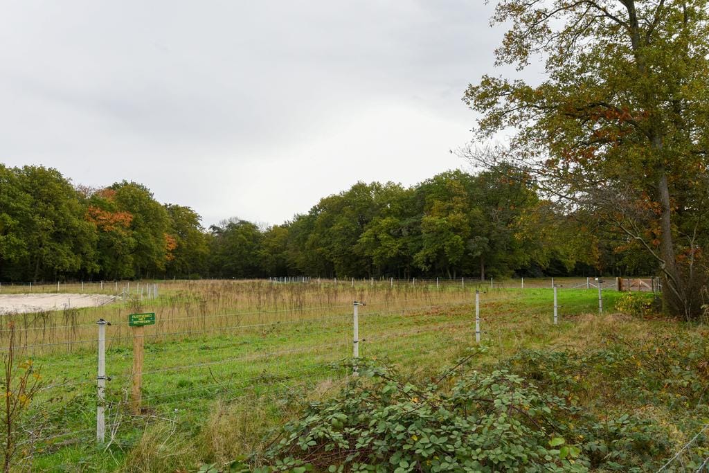 Foto 25 van Struikheidelaan 67