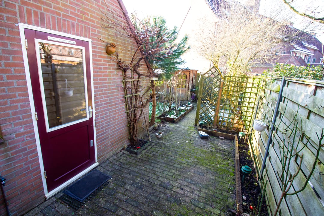 Foto 43 van Kweekwal 10